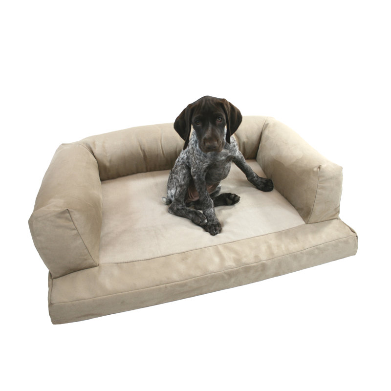 Hollymead Baxter Couch Microsuede Bolstered Dog Bed Medium 35 W x 25 D x 9 H Microsuede Tan